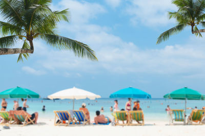 Palm trees on beach against sky