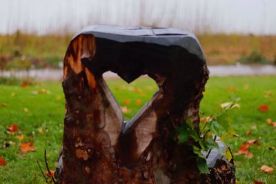 Close-up of water on field