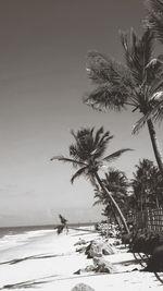 Palm trees on beach against clear sky