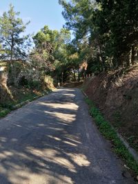 Road amidst trees against sky