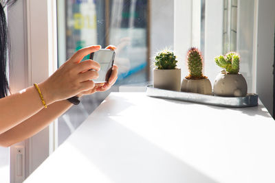 Woman photographing cactus at home