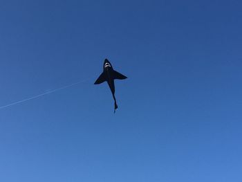 Low angle view of bird flying against clear blue sky