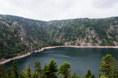 Scenic view of river in forest against sky