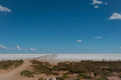 Scenic view of beach against blue sky