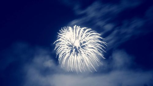 Low angle view of firework display against sky at night