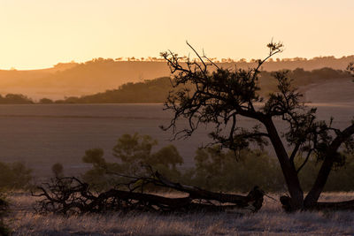 Scenic view of landscape against sky during sunset