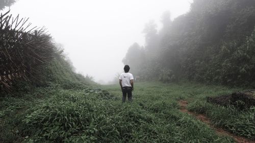 Rear view of man walking on landscape in foggy weather