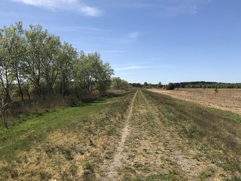 Empty road amidst field against sky