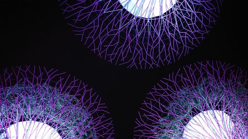 Low angle view of illuminated lights at night