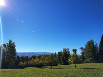 Scenic view of field against clear blue sky