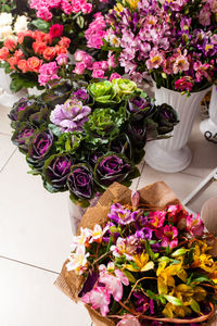 High angle view of purple flowering plants