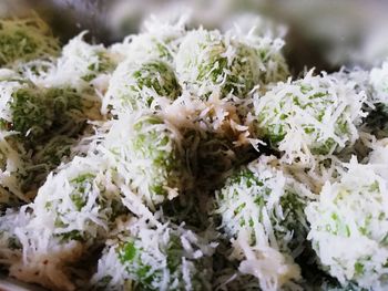 Close-up of fresh vegetables on plant