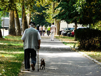 Rear view of man walking with dog on road