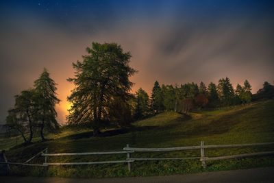 Trees on landscape against sky at night