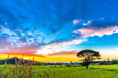 Scenic view of field against sky during sunset