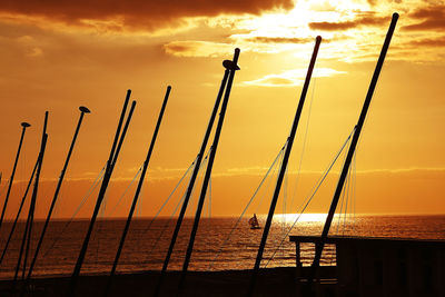 Low angle view of silhouette plants against sky during sunset