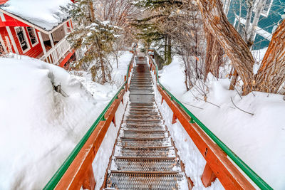 Snow covered railing by trees during winter