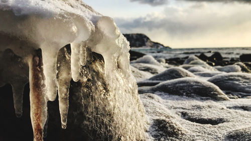 Close-up of icicles on beach against sky