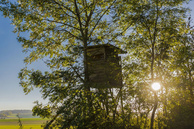 Low angle view of tree by building against sky