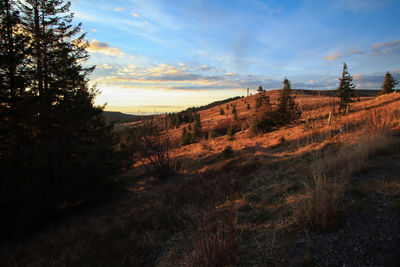 Scenic view of field against sky during sunset