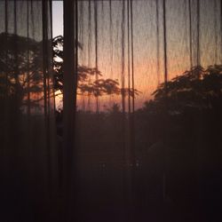 Silhouette trees during sunset seen through curtains