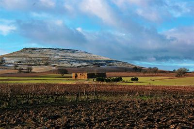 Scenic view of agricultural field against sky