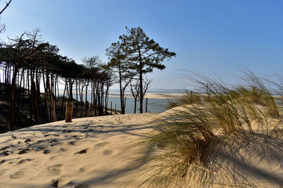 View of beach against clear sky