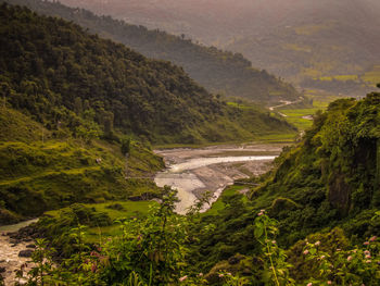 High angle view of river amidst trees in forest