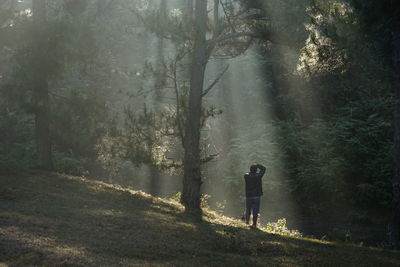 Rear view of man standing in forest