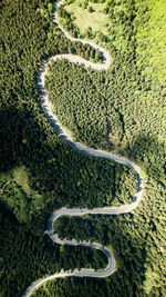 High angle view of road