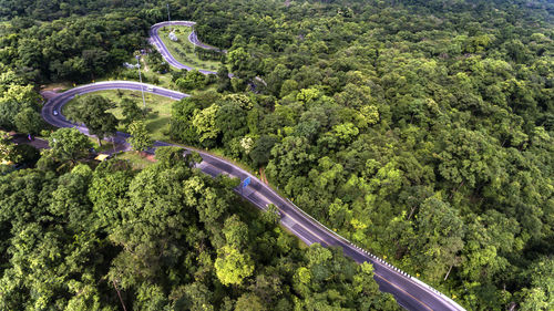 High angle view of road amidst trees in forest