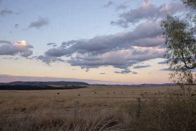 Scenic view of field against sky during sunset