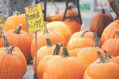 Pumpkins for sale at market stall