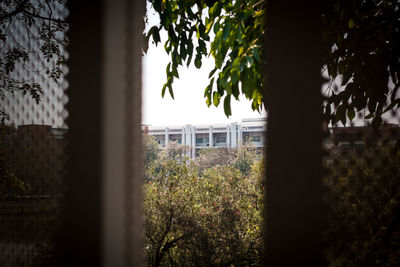 Silhouette tree by building against sky seen through window