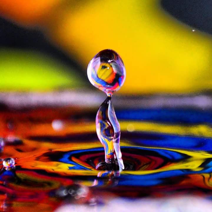 CLOSE-UP OF WATER DROP ON MULTI COLORED BIRD