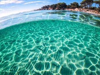 Full frame shot of swimming in sea