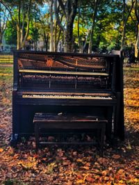 Empty bench in park during autumn