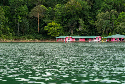 Scenic view of lake against trees