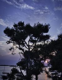 Low angle view of silhouette trees against sky