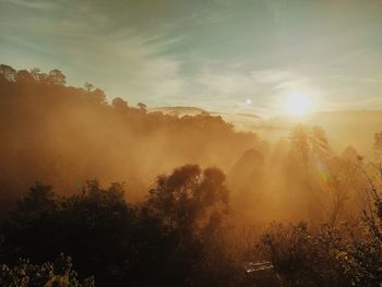 Sunlight streaming through trees against sky during sunset