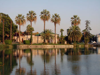 Palm trees by lake against sky