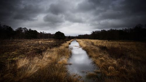 Scenic view of land against sky