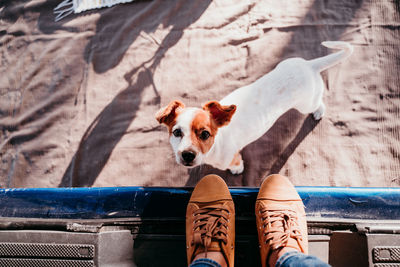 Low section of people with dog relaxing outdoors