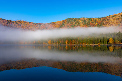 Scenic view of lake by trees against clear blue sky