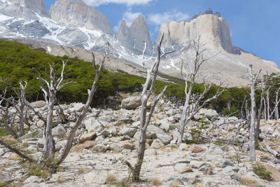 Scenic view of snow covered mountains