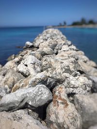 Scenic view of beach