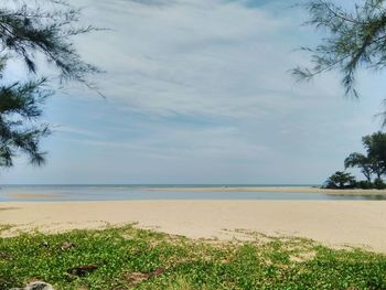 Scenic view of beach against sky