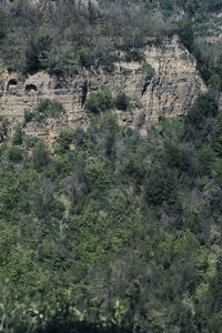 Aerial view of landscape