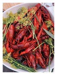 High angle view of red chili peppers in plate