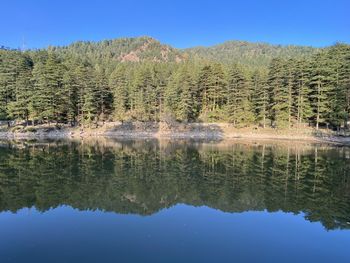 Reflection of trees in lake against blue sky